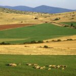 Çbiri definitive peak