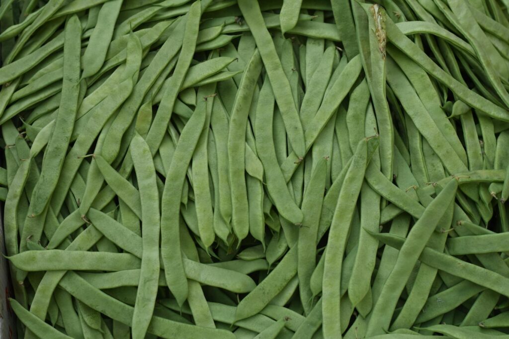 Green Bean Garden: Grow More for Less