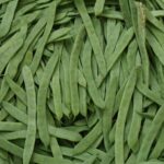 green bean plants growing