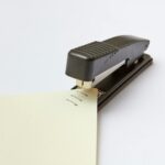 Actress Robin Stapler: What You Need to Know