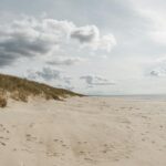 Sandy Togsvig: Unpacking the Enigma