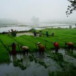 Teresa Rice: What Her Career Data Reveals